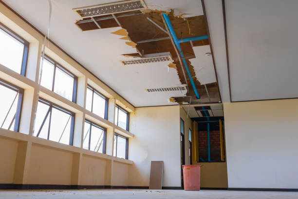 Best 24/7 water damage repair  in Manteno, IL